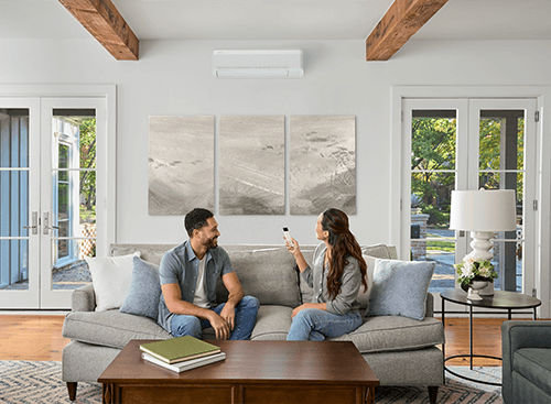 DUCTLESS Living Area Male Female Homeowner Remote